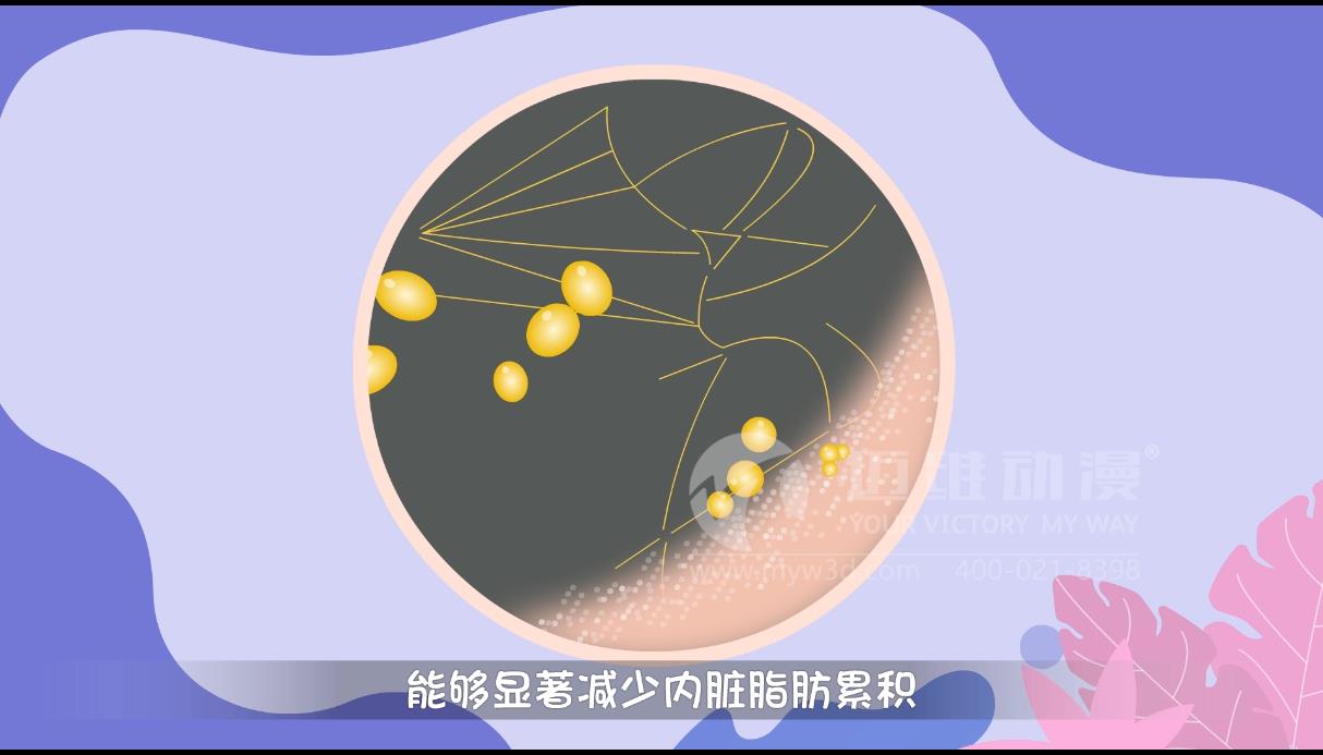 MG動畫，邁維動漫.jpg
