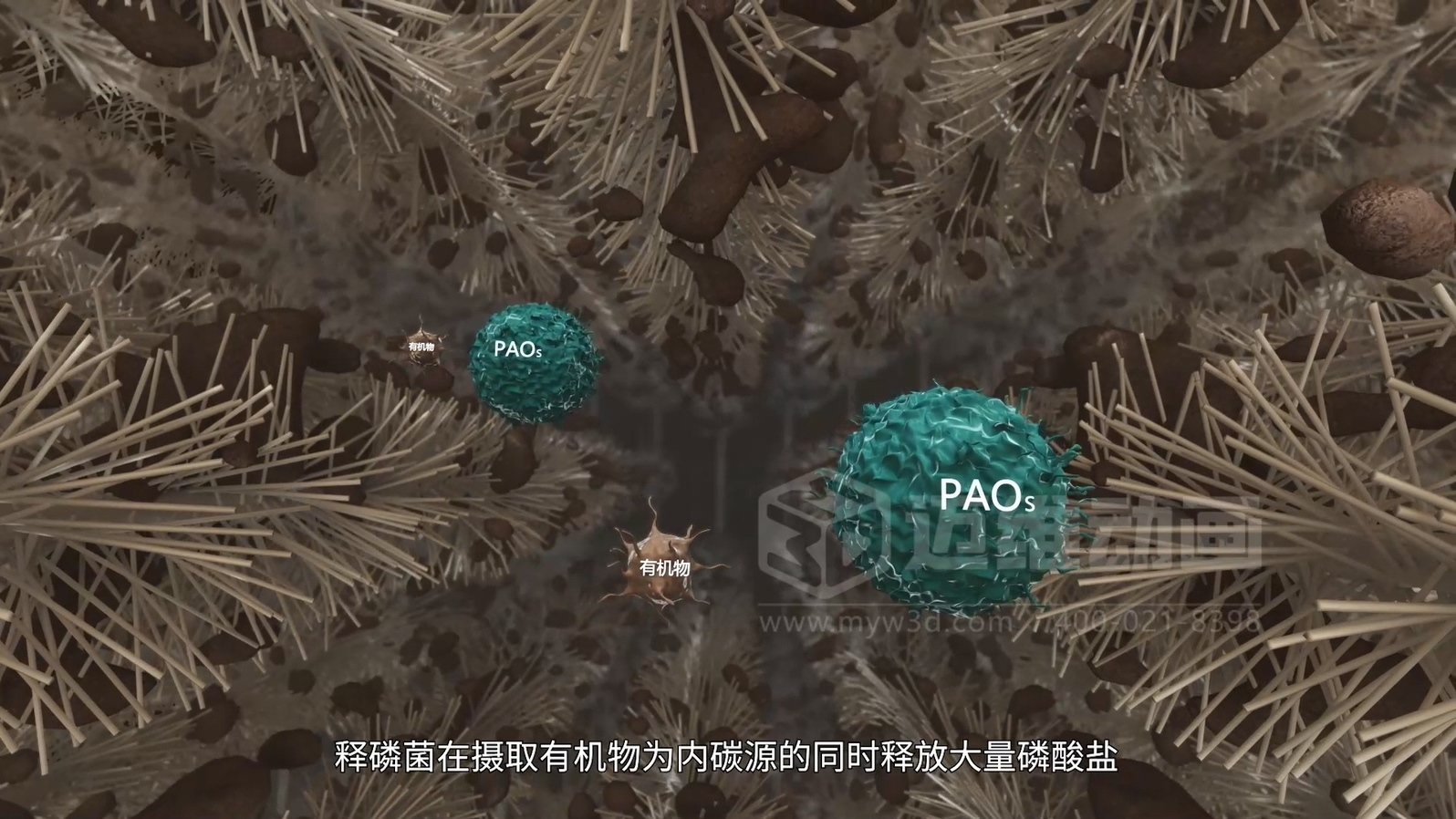 驚爆！三維動畫全方位展示鄉(xiāng)鎮(zhèn)污水一體化處理工藝，環(huán)保企業(yè)機(jī)遇來襲(圖4)